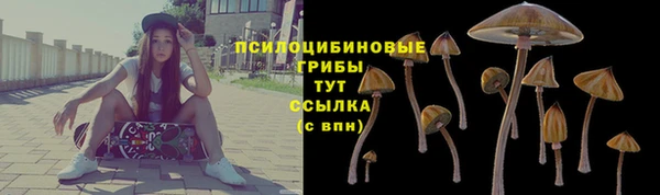 a pvp Лагань